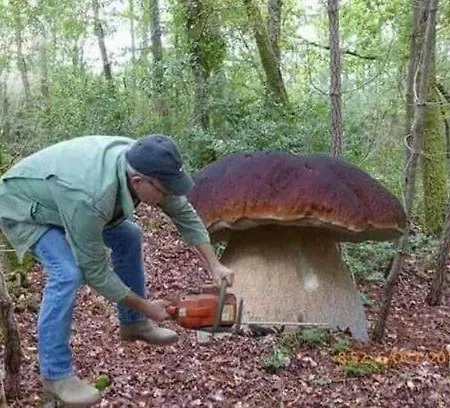 شقة Sas Militaria Dla 2 Par 2 4 Osoby